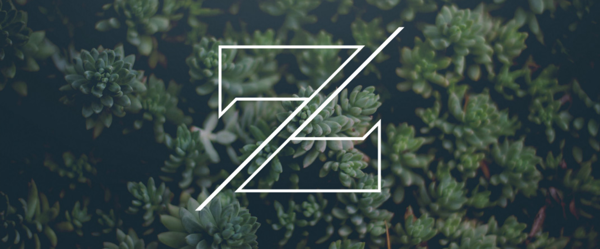 ZVI_Header-1