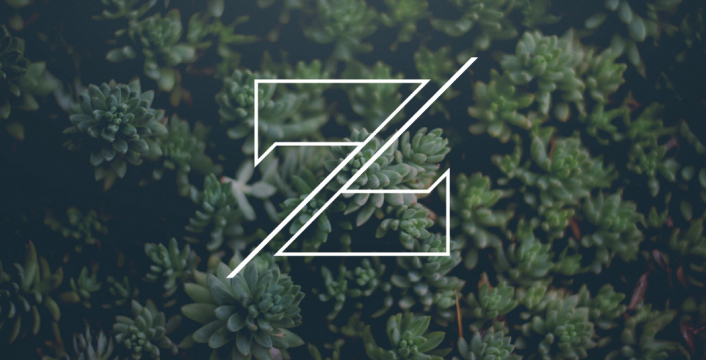 Zvi Branding